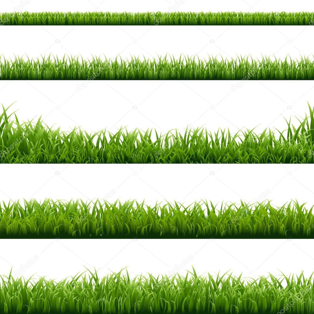 Set of Green Grass Borders