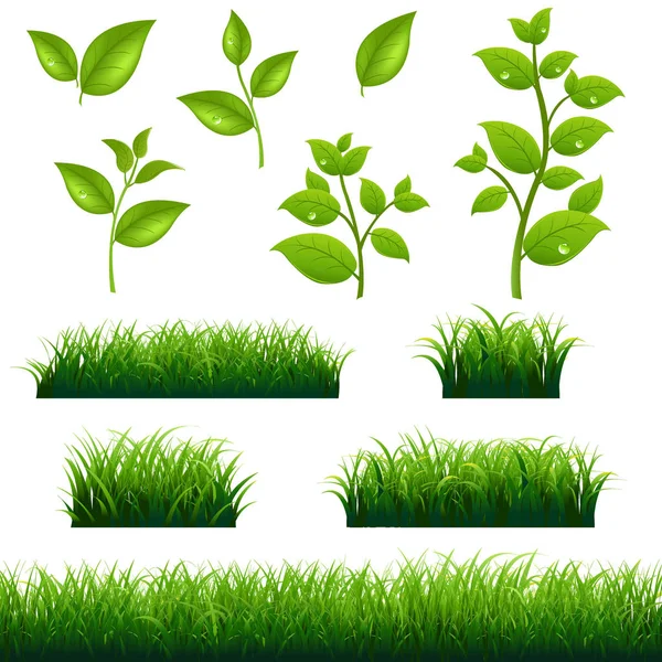 緑の草や葉の大きなセット — ストックベクタ