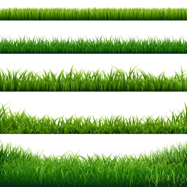 Green Grass Frame Big Set