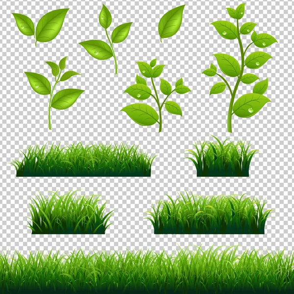 Green Grass And Leaves Big Set — Stock Vector