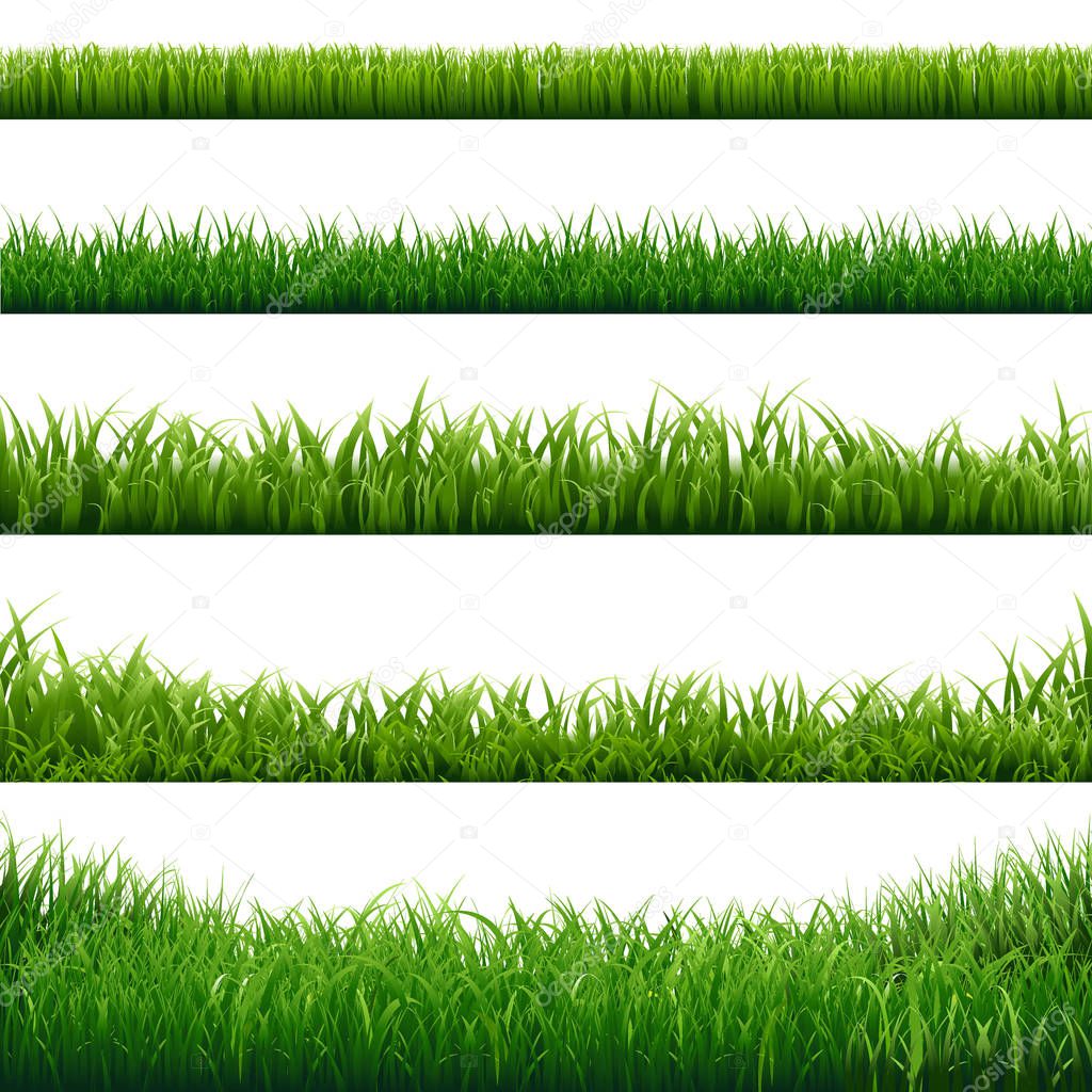 Green Grass Frame Big Set
