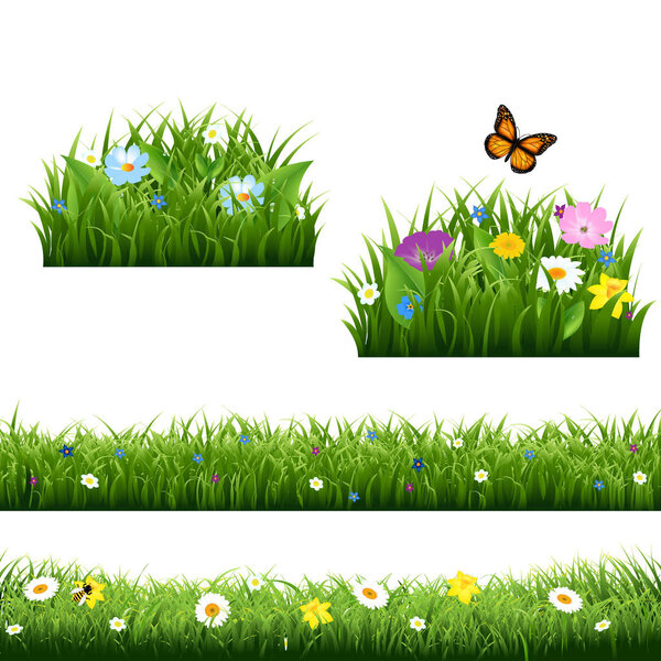 Summer Flowers With Butterfly set