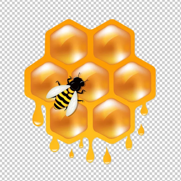 Honeycombs With Bee Gradient Mesh — Stock Vector