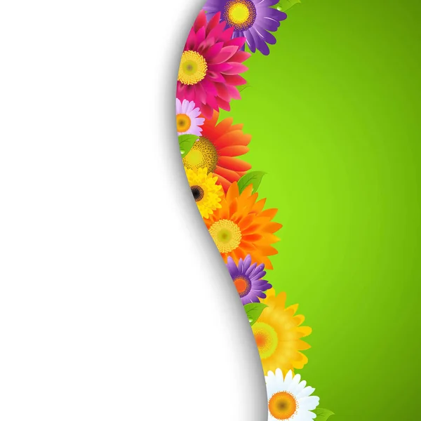 Kleurrijke Gerber van bloemen grens — Stockvector