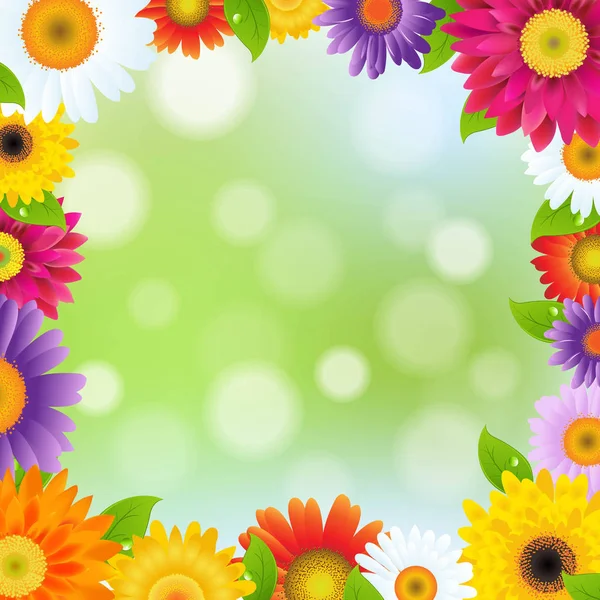 Barva rámečku květy Gerber — Stockový vektor
