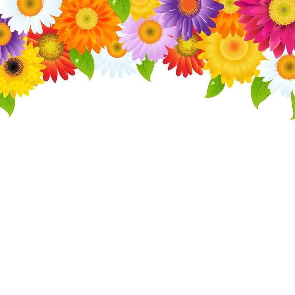 Cadre de fleurs de couleur Gerber — Image vectorielle