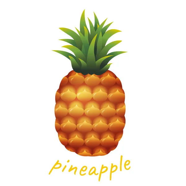 Ananas, illustration vectorielle — Image vectorielle