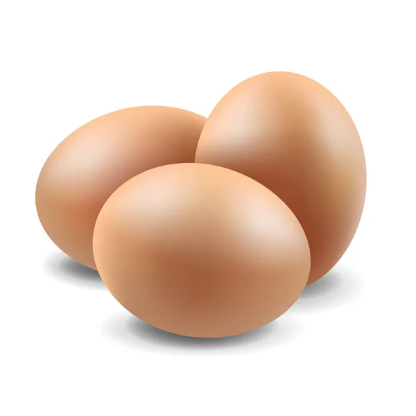 Conjunto de huevos de pollo — Vector de stock
