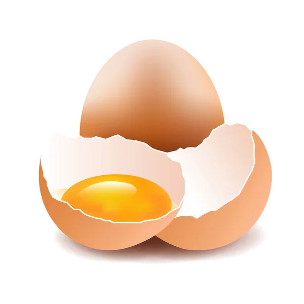 Kip eieren set — Stockvector