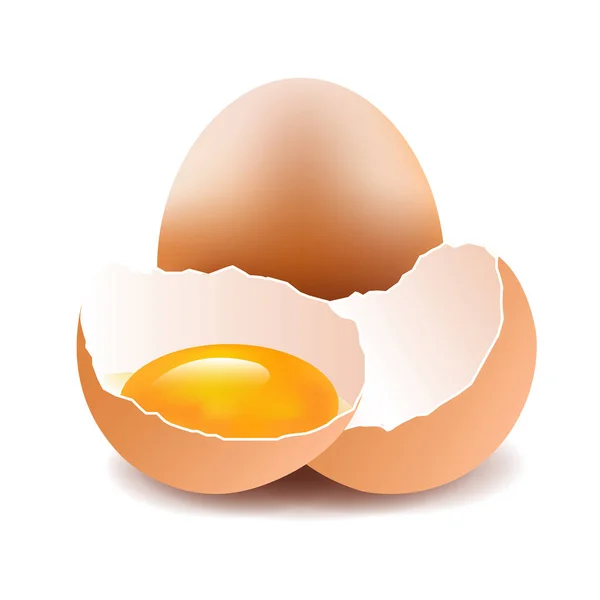 Conjunto de huevos de pollo — Vector de stock