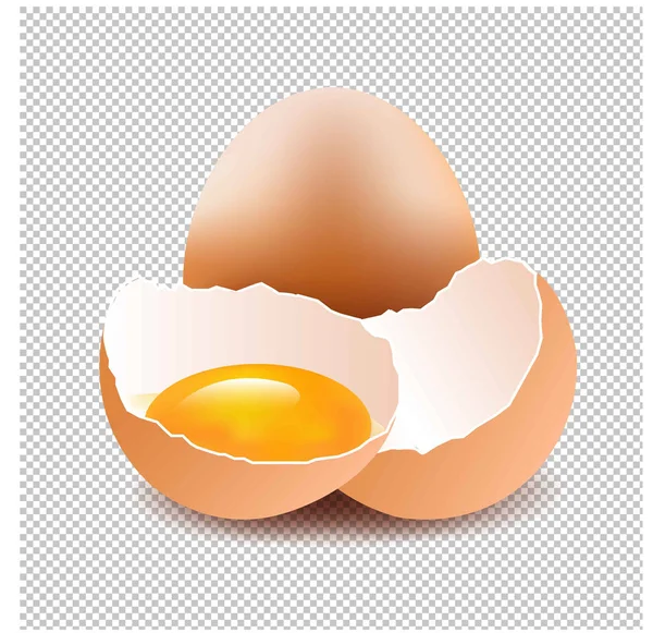 Conjunto de huevos de pollo — Vector de stock