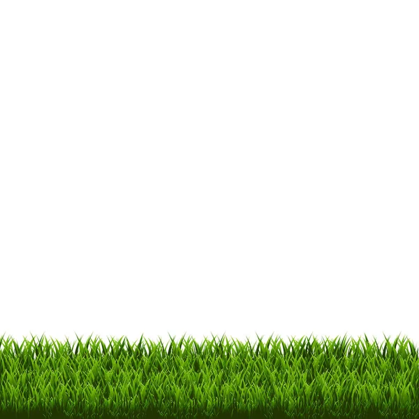 Green Grass Border — Stock Vector