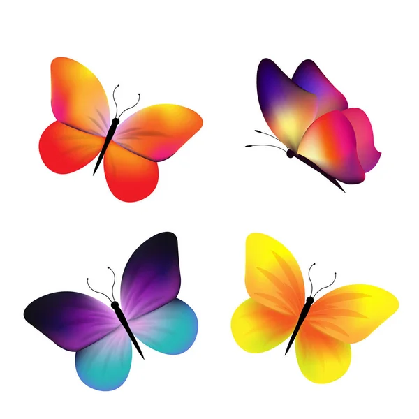 Schmetterlingssammlung Isoliert Mit Gradientennetz Vektorillustration — Stockvektor