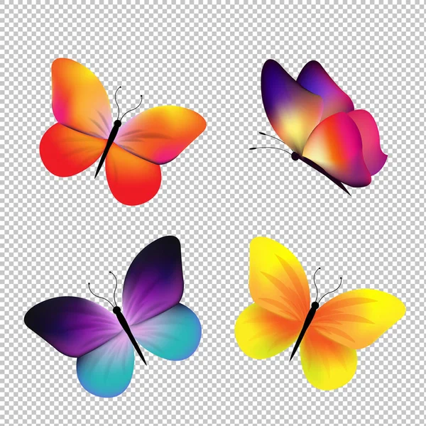 Motyl Zestaw Białym Tle Gradient Mesh Ilustracji Wektorowych — Wektor stockowy