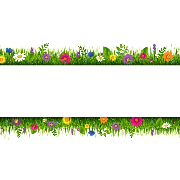 Gras Bloemen Grens Banner Met Verloopnet Vectorillustratie — Stockvector