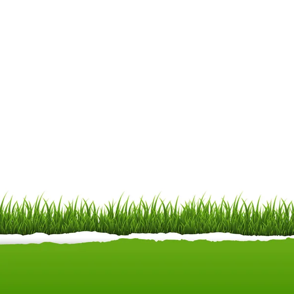 Green Grass Ripped Paper Gradient Mesh Vector Illustration — Stock Vector