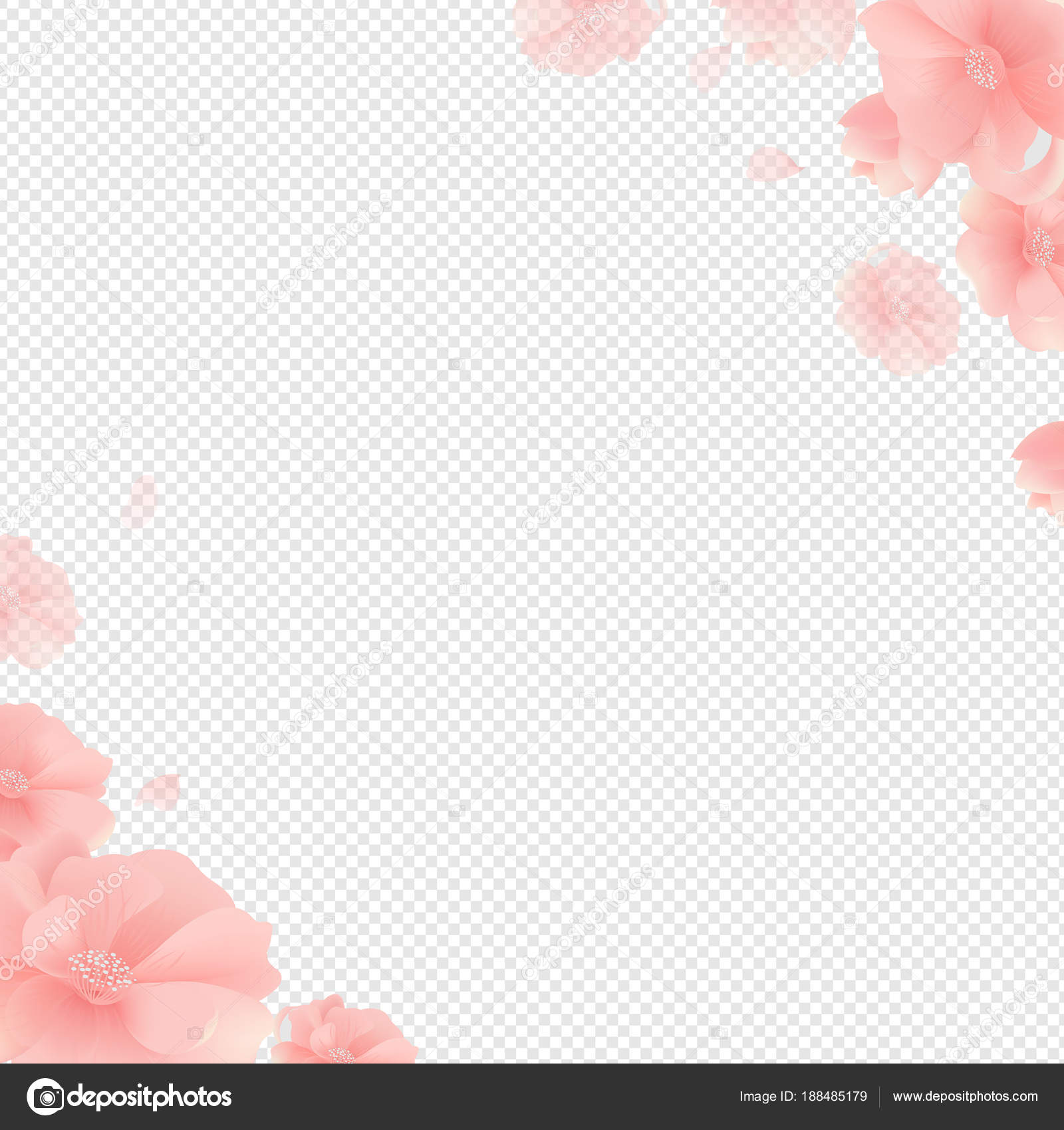 border background