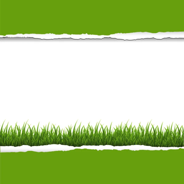 Green Grass Ripped Paper Border Gradient Mesh Vector Illustration — 스톡 벡터