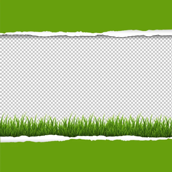 Fondo Transparente Hierba Verde Frontera Papel Rasgado Con Malla Gradiente — Vector de stock