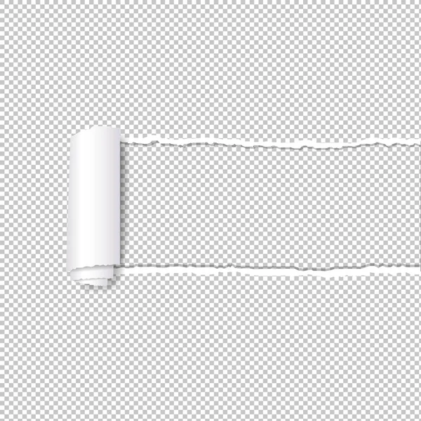 Zerrissene Papierkante Transparenter Hintergrund Mit Gradientennetz Vektorillustration — Stockvektor