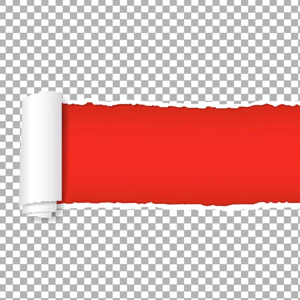 Zerrissenes Rotes Papier Transparenter Hintergrund Mit Gradientennetz Vektorillustration — Stockvektor