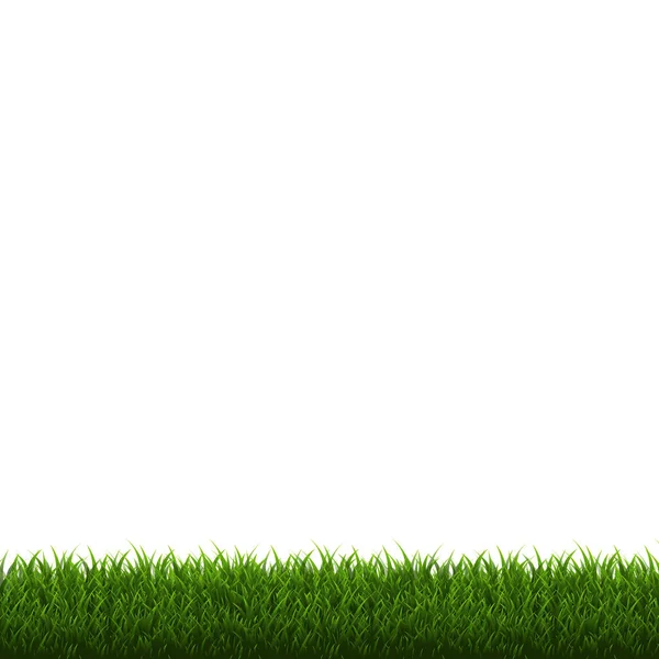 Grass Border Isolated Vector Illustration — Stock Vector