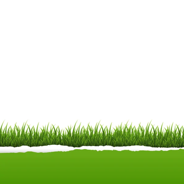 Herbe Verte Papier Déchiré Avec Maille Dégradée Illustration Vectorielle — Image vectorielle