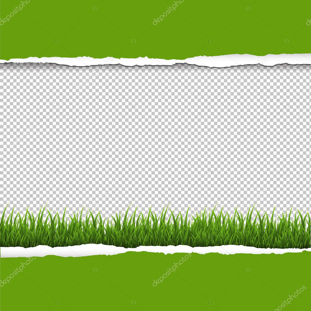 Green Grass And Ripped Paper Border Transparent Background With Gradient Mesh, Vector Illustration