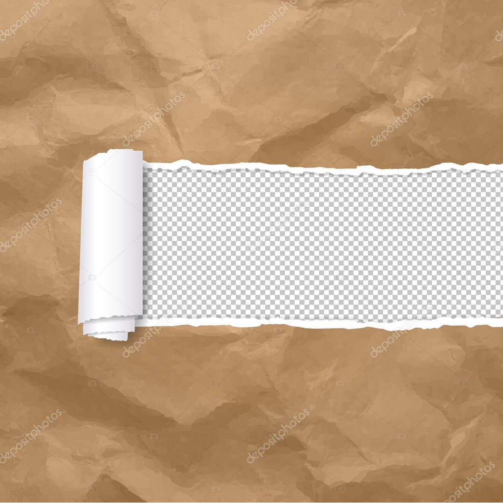 Torn Paper Edge Transparent Background With Gradient Mesh, Vector Illustration