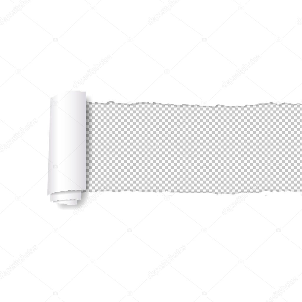 Torn Paper Edge White Background With Gradient Mesh, Vector Illustration