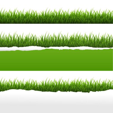 Yeşil çim ve degrade kafes, vektör çizim ile yırtık kağıt beyaz arka plan ayarlamak