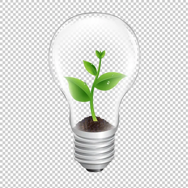 Glühbirne Mit Grünem Sprössling Transparenter Hintergrund Mit Gradientennetz Vektorillustration — Stockvektor