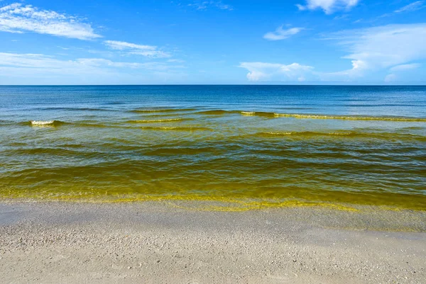 フロリダの海岸の赤潮 — ストック写真