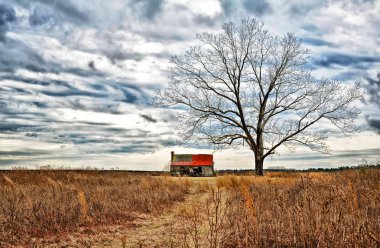Bir alanda terk edilmiş çiftlik