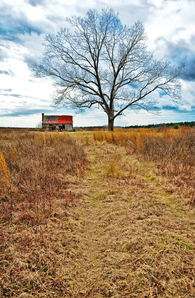 Abandoned Farmhouse in a Field — Stock Photo, Image