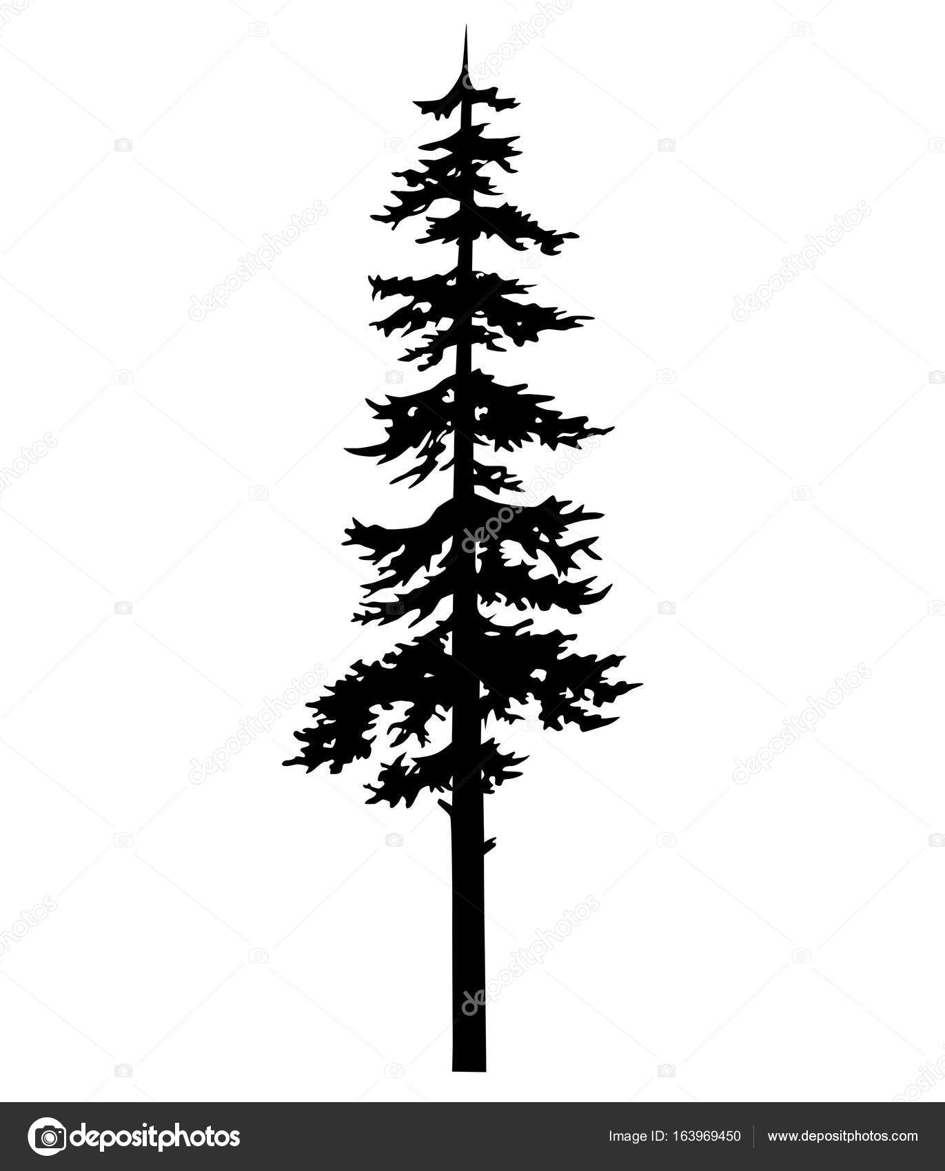 Pine Tree Tattoo Vector Coniferous Nature Vector Silhouette