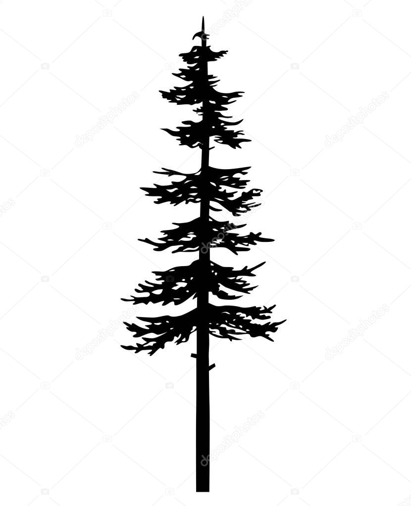 Download Pine tree silhouette tattoo | Pine tree tattoo vector ...