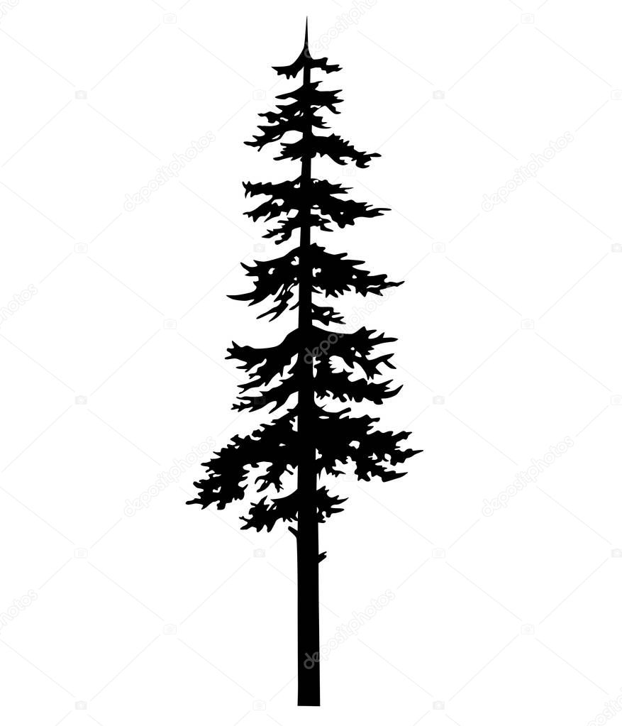 Download Pine tree tattoo vector, coniferous nature vector silhouette isolated illustration. Vector ...