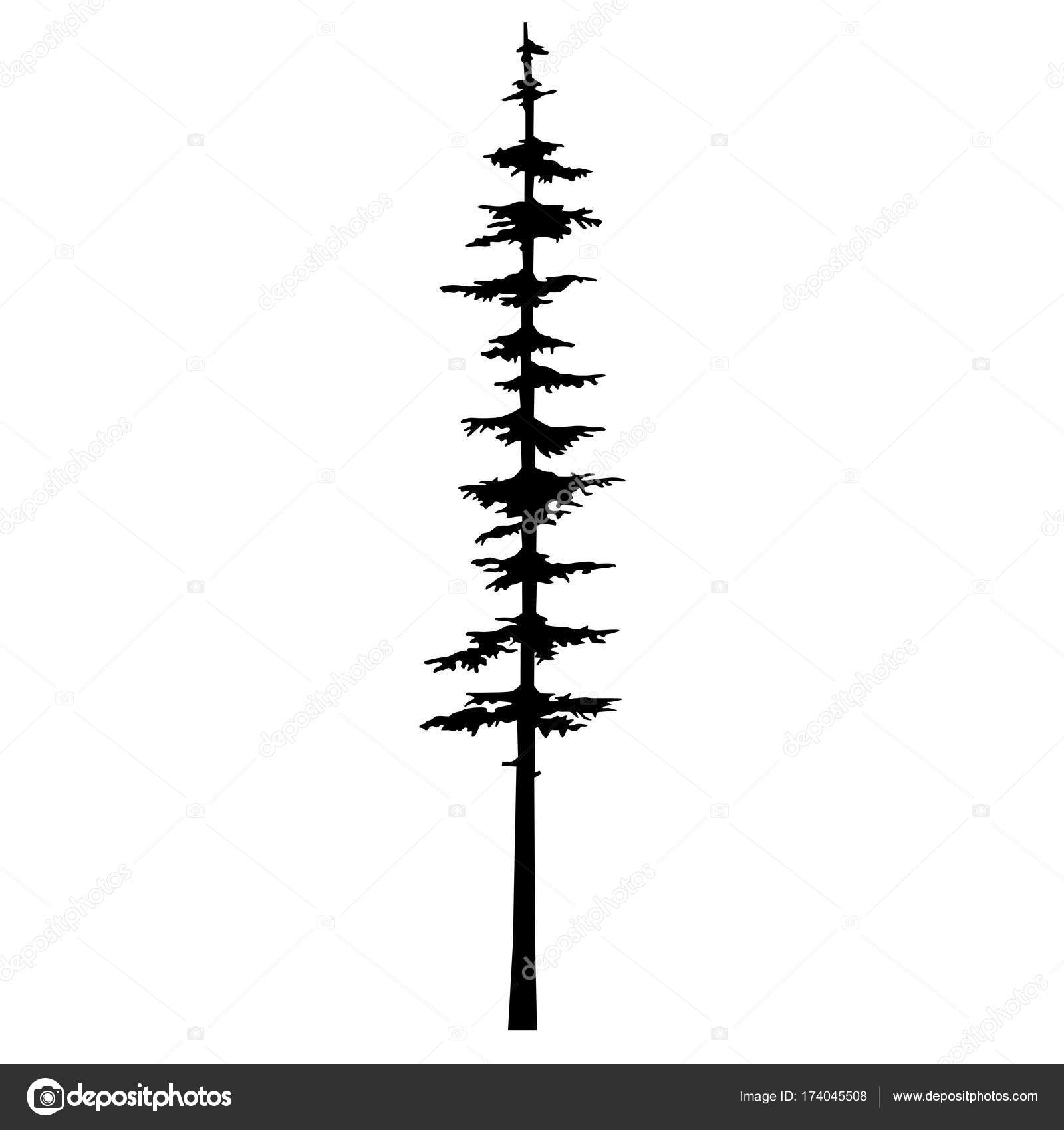 Pine Tree Tattoo Vector Coniferous Nature Vector Silhouette Isolated Illustration Vector Isolated Silhouette Of A Coniferous Tree Vector Image By C 1rudvi Vector Stock Pine Tree Tattoo Vector Coniferous Nature Vector Silhouette Isolated Illustration Vector Isolated Silhouette Of A Coniferous Tree Vector Image By C 1rudvi Vector Stock