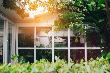 Ağaç tarafından çevrili penceresi olan ev