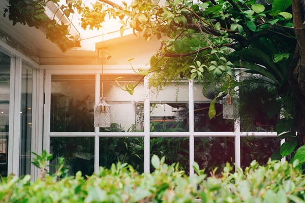 Ağaç tarafından çevrili penceresi olan ev