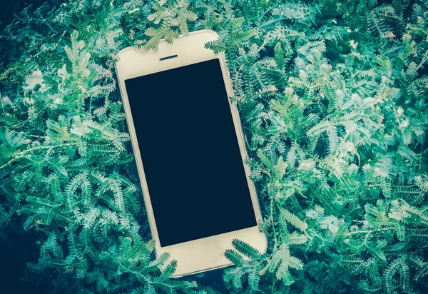 Mobile smart phone on green fearn. vintage filter — Stock Photo, Image