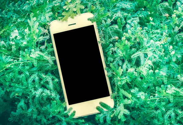 Yeşil fearn akıllı telefon