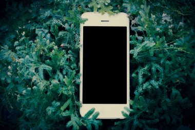 Filtreli yeşil fearn mobil akıllı telefon