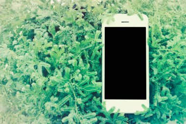 Vintage filtreli yeşil fearn mobil akıllı telefon