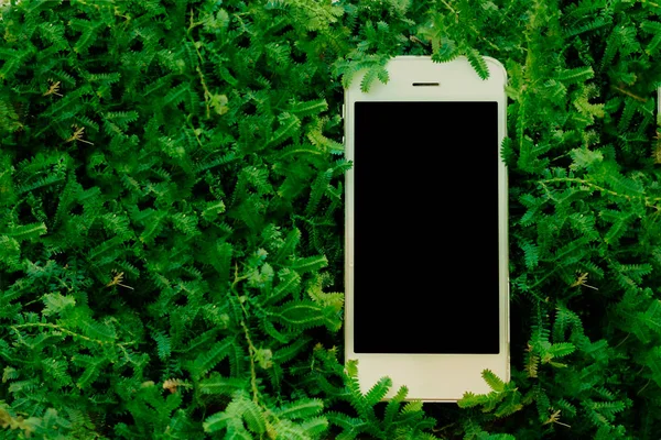 Yeşil fearn mobil akıllı telefon