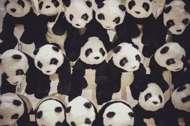 siyah ve beyaz panda bebek