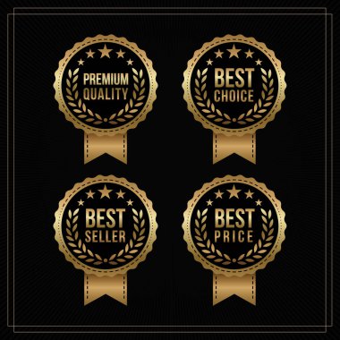 Vektör vintage rozetleri toplama 