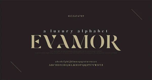 Elegant Luxury Alphabet Letters Font Number Classic Lettering Minimal Fashion — Stock Vector