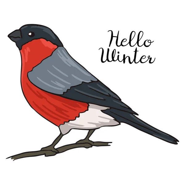 Şakrak kuşu kuş. Vektör çizim